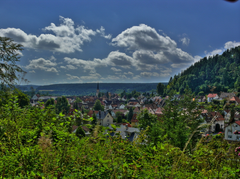 Blick vom Mühlberg auf´s Bächetal